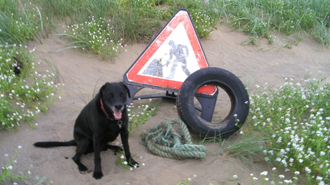Car tyre and road sign found on the beach