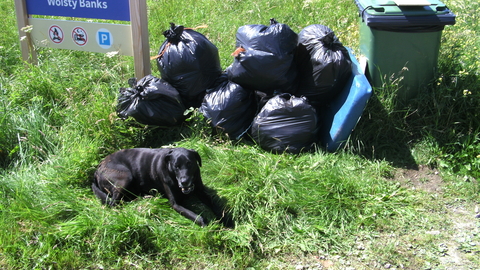 Several black bags and wheelie bin full of rubbish collected