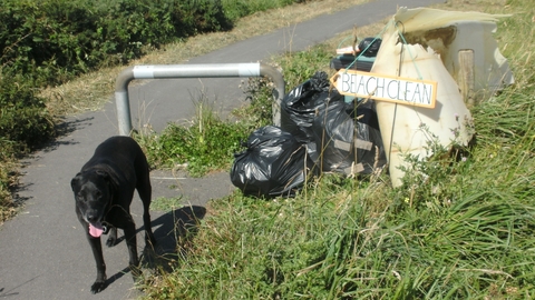 Roly the dog guarding the day's spoils