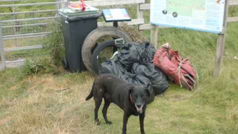 Bags of rubbish awaiting dispatching to the tip