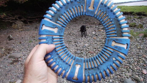 More plastic from the beach