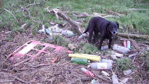 Lots of debris washed up on the last tide