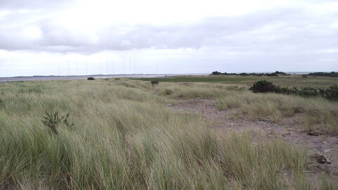 The open expanse that is Grune Point beach