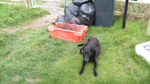 various detritus including eight black bags of spoils