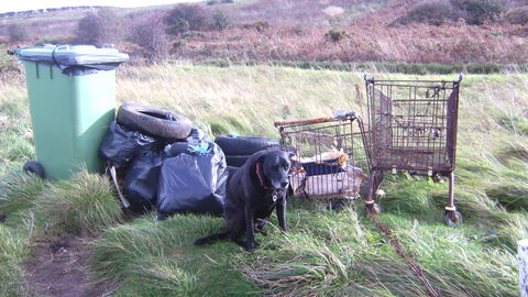 various rubbish including two supermarket trollies !