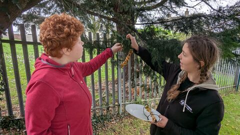 Young people putting out bird seed onto a tree