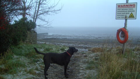 Frosty, foggy start to the beach clean