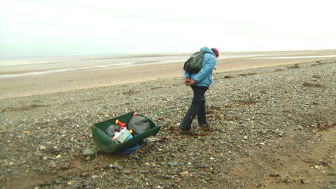 Volunteer dragging spoils from the beach