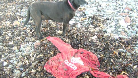 Red sweatshirt marooned on the beach