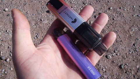 Dreaded vapes discarded 