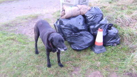 Black bags full of waste awaiting transport to the recycling facility