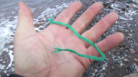 Green nylon cord recovered
