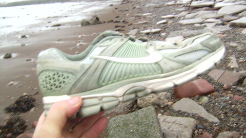 one training shoe rcovered from the beach