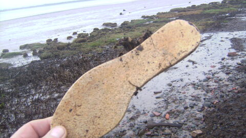 Rubber sole of a shoe