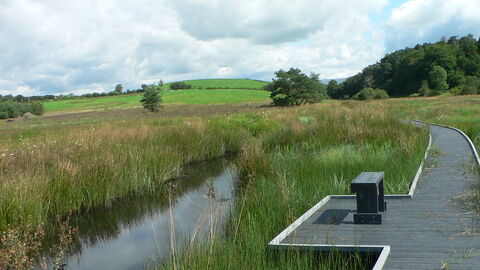 Burns Beck moss nature reserve credit Sylvia Woodhead