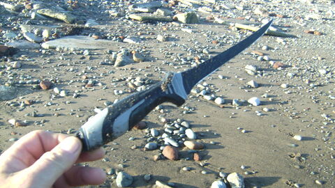 Sharp filleting knife found on the beach