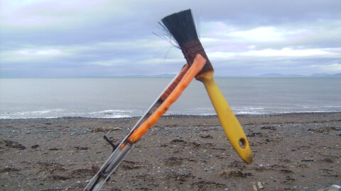 Yellow paint brush washed in on the tide