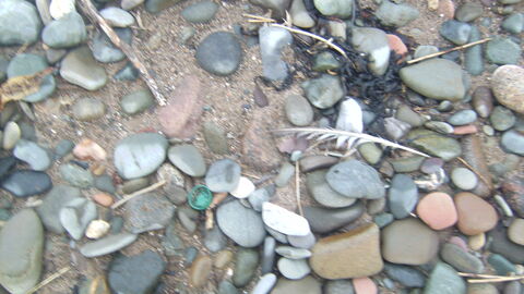 Hidden rubbish on the beach