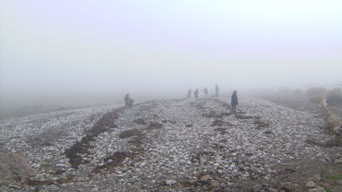 Foggy morning on the beach