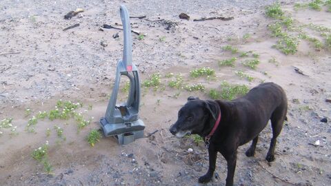 Disgarded vaccum Cleaner