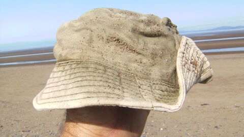A lost hat on the beach
