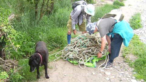 Large selection of rope retrived by volunteers