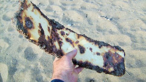 Old piece of iron recovered from the beach