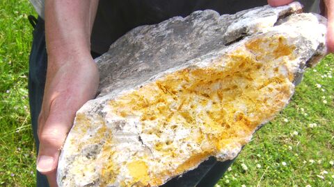 Big chunk of Palm Oil