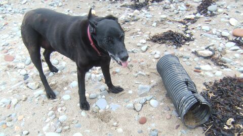 Large plastic drainage pipe on the beach