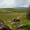 Blencathra fell seen from Eycott Hill Nature Reserve