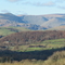 Craggy Wood - Staveley woodlands