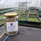 Harvested wild flower seed in a jar from Gosling Sike nursery