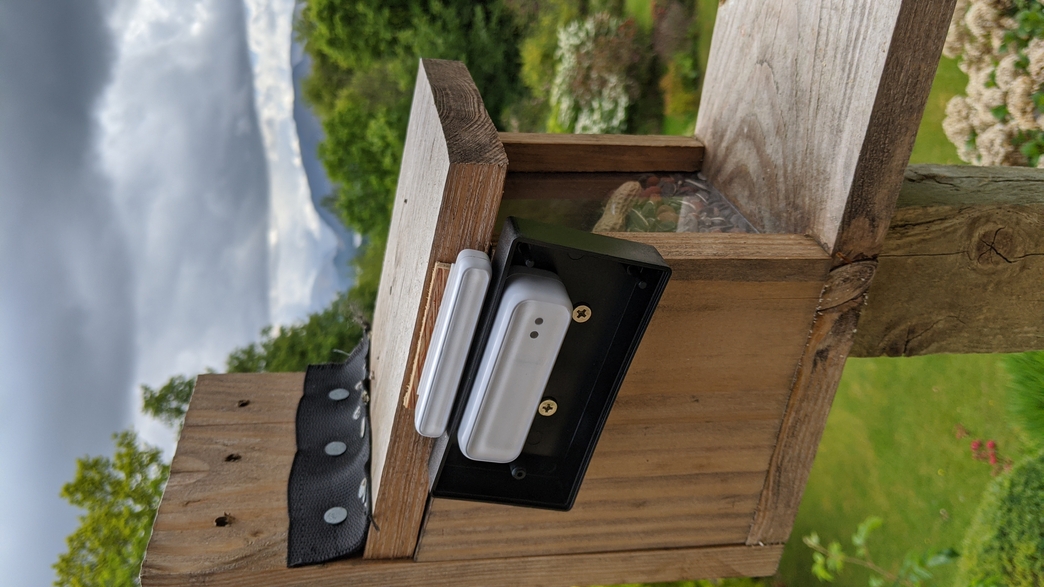 smart timer deer feeder