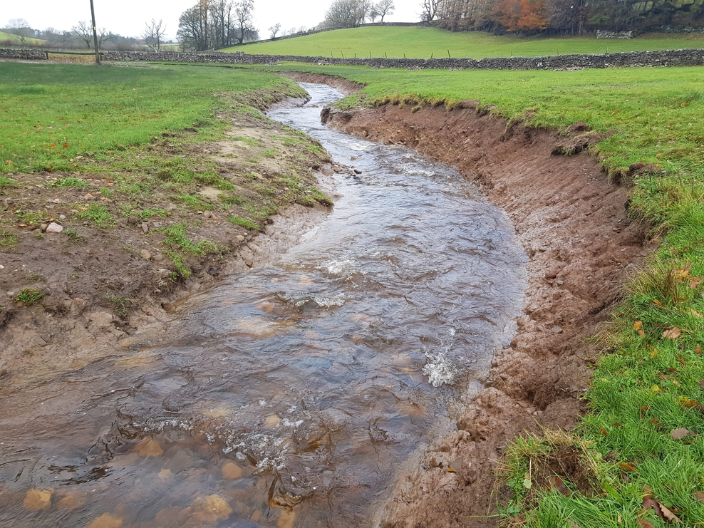 Rewiggling our way to a wetter, wilder Bowber Head Cumbria Wildlife