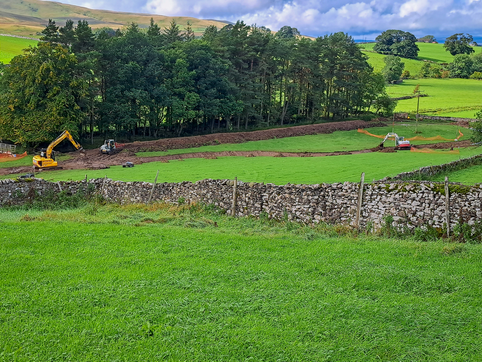 Rewiggling our way to a wetter, wilder Bowber Head Cumbria Wildlife