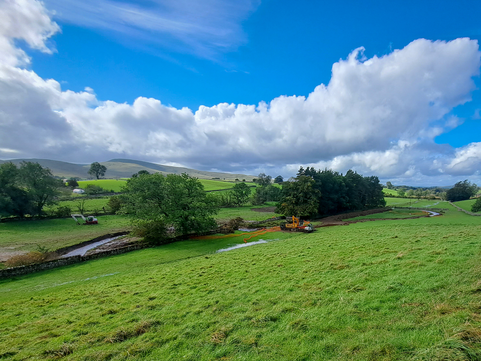 Rewiggling our way to a wetter, wilder Bowber Head Cumbria Wildlife
