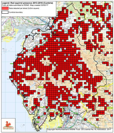 Map of Red squirrel range in cumbria between 2013 to 2016
