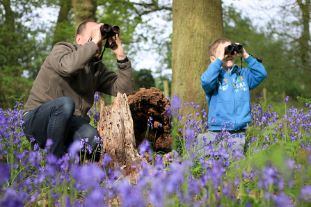 Image of father and son in bluebell wood using binoculars
