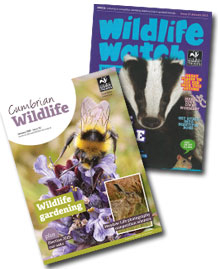 image of cumbria wildlife trust membership magazines