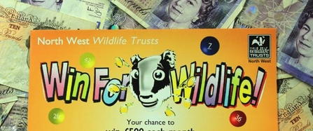 image of Win for wildlife lottery