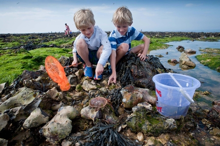 Children look for rockpool creatures on the beach