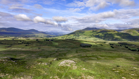Image of Eycott Hill for launch of Elizabeth's Story on Cumbria Wildlife Trust website