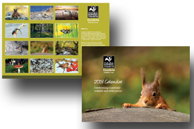 image of 2018 cumbria wildlife trust calendar front and back cover