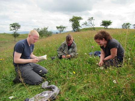 Image of Eycott Hill Nature Reserve Coronation Meadow survey with Louise Richards and volunteers