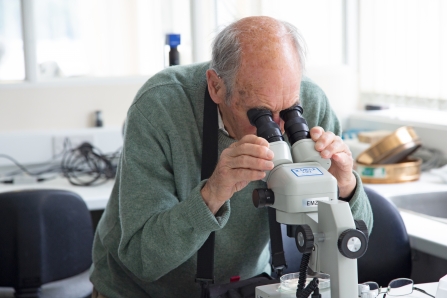 Photo of someone looking down a microscope