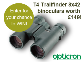 image of a pair of opticron t4 trailfinders binoculars
