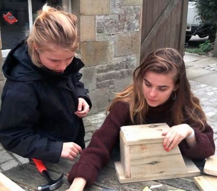 image of Sian Bentley and Grainne Martinwells making bird boxes 