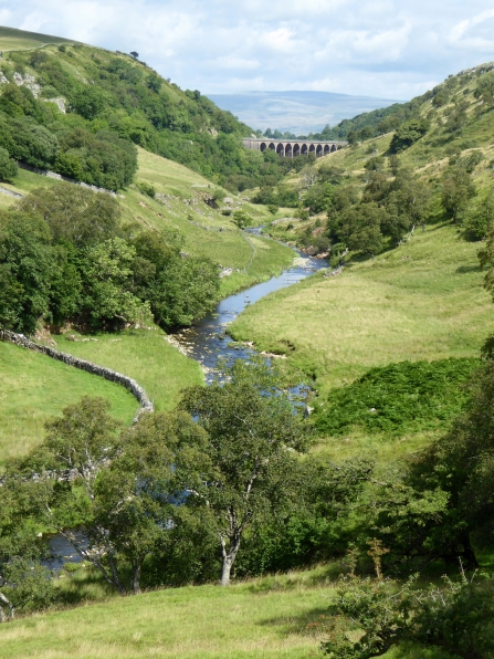 Image of Smardale Nature Reserve and viaduct