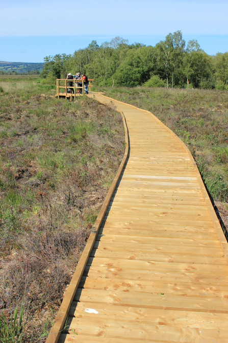 Photo of the boardwalk and osprey viewing area at Foulshaw Moss Nature Reserve