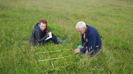 Volunteers surveying the Eycott Hill meadows using a quadrat